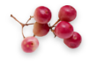 Pepperberry